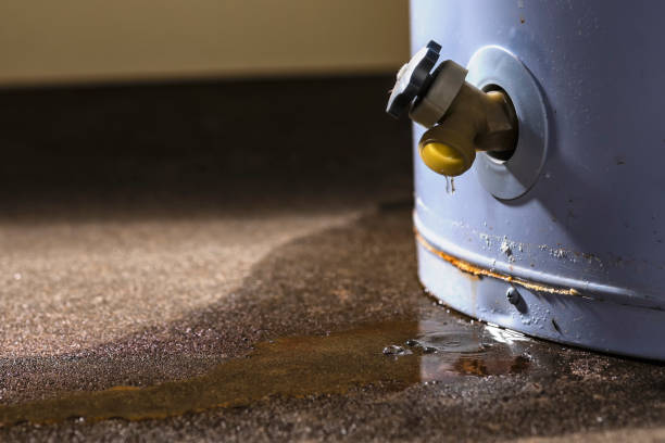 Best Ceiling water damage repair  in Arma, KS