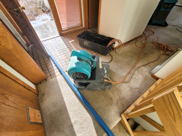 Best Basement water damage restoration  in Arma, KS