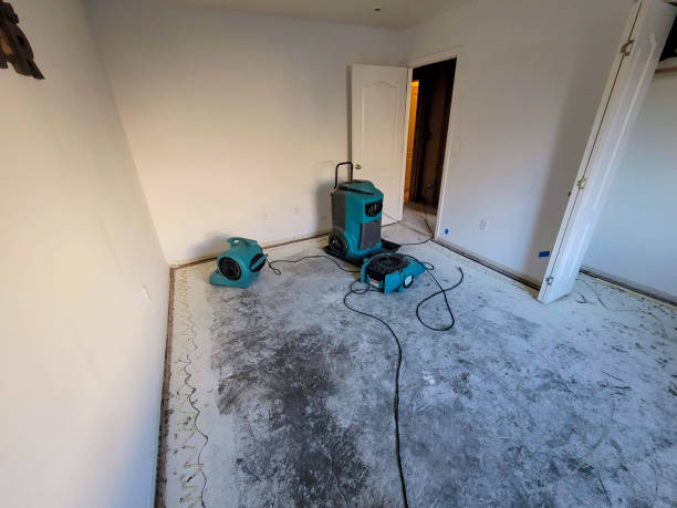 Best Fire Damage Restoration  in Arma, KS