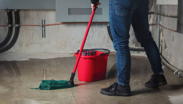 Best Mold removal after water damage  in Arma, KS
