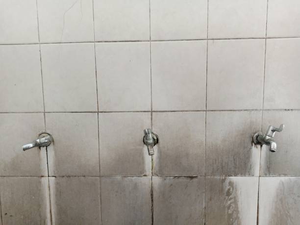 Best Local water damage restoration  in Arma, KS
