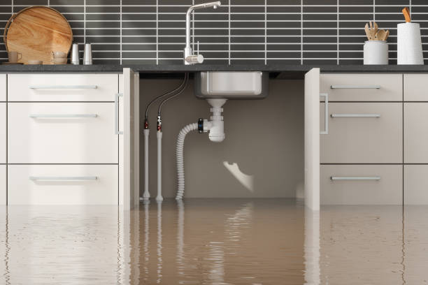 Best Ceiling water damage repair  in Arma, KS