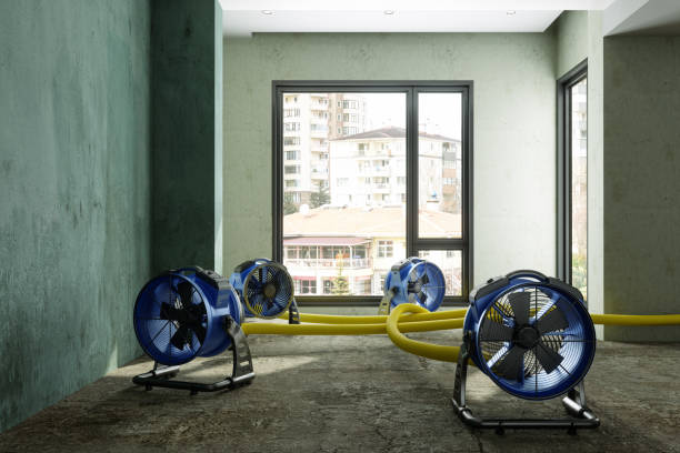 Best Professional water damage repair  in Arma, KS